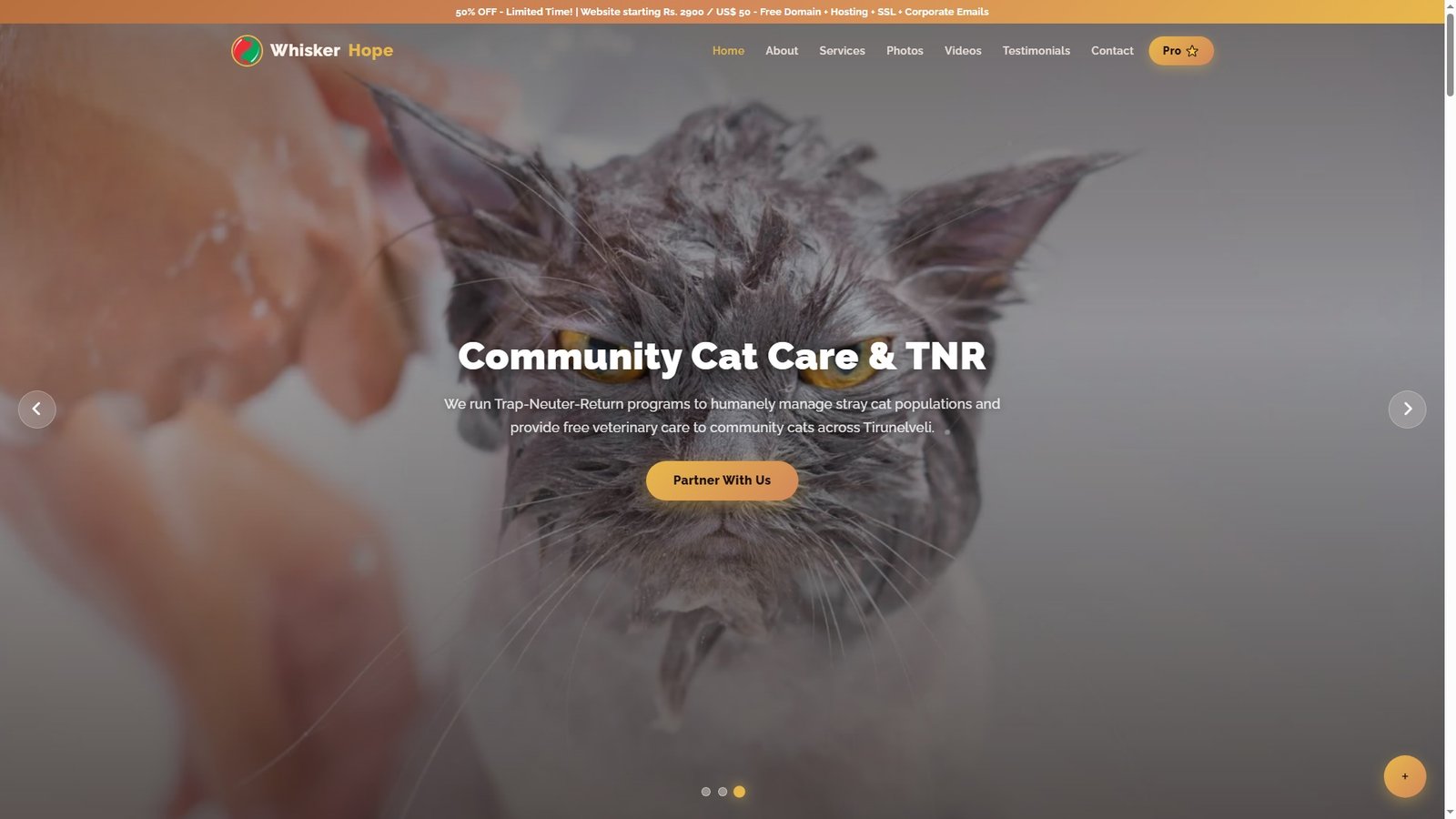 Cat Rescue Organizations