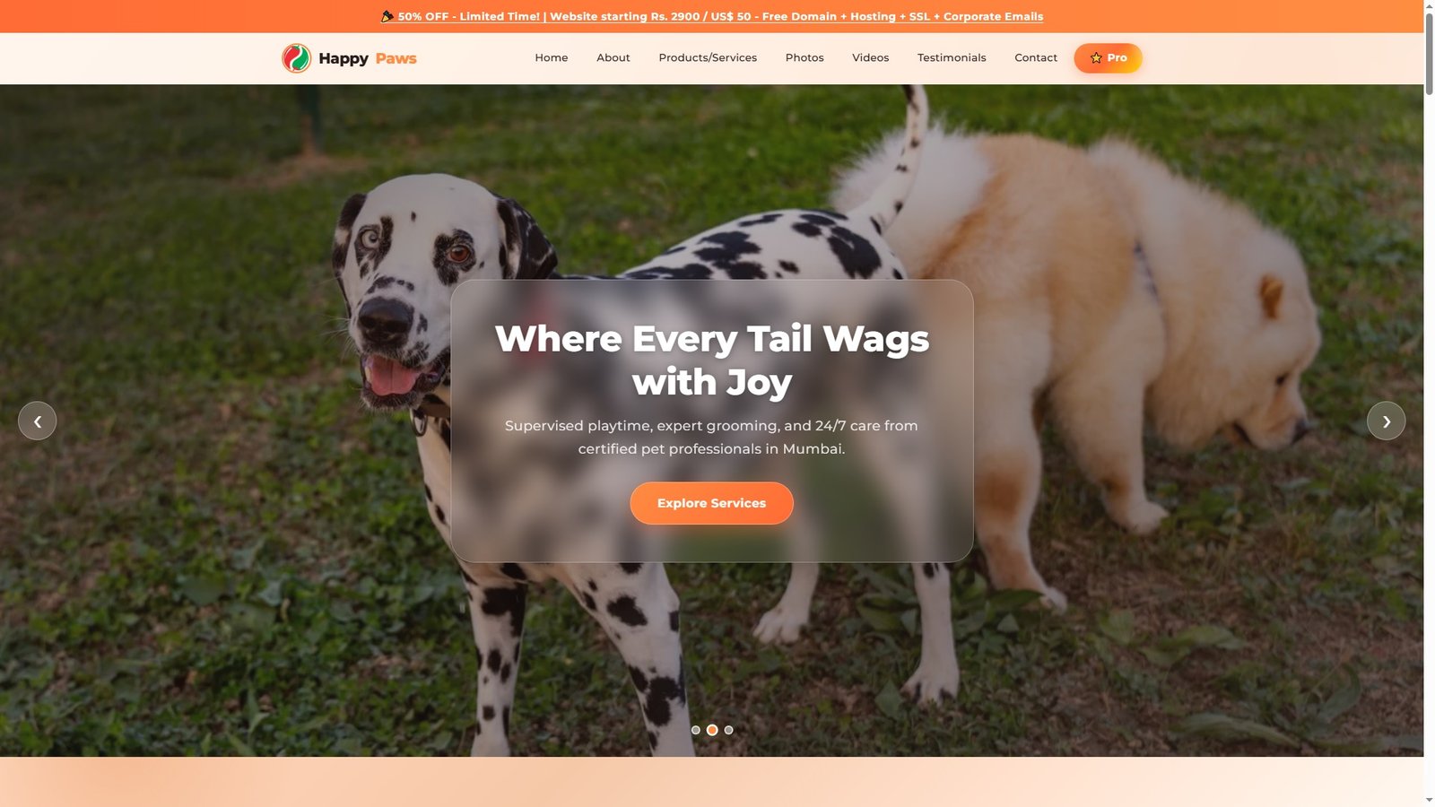 Dog Daycare Centers