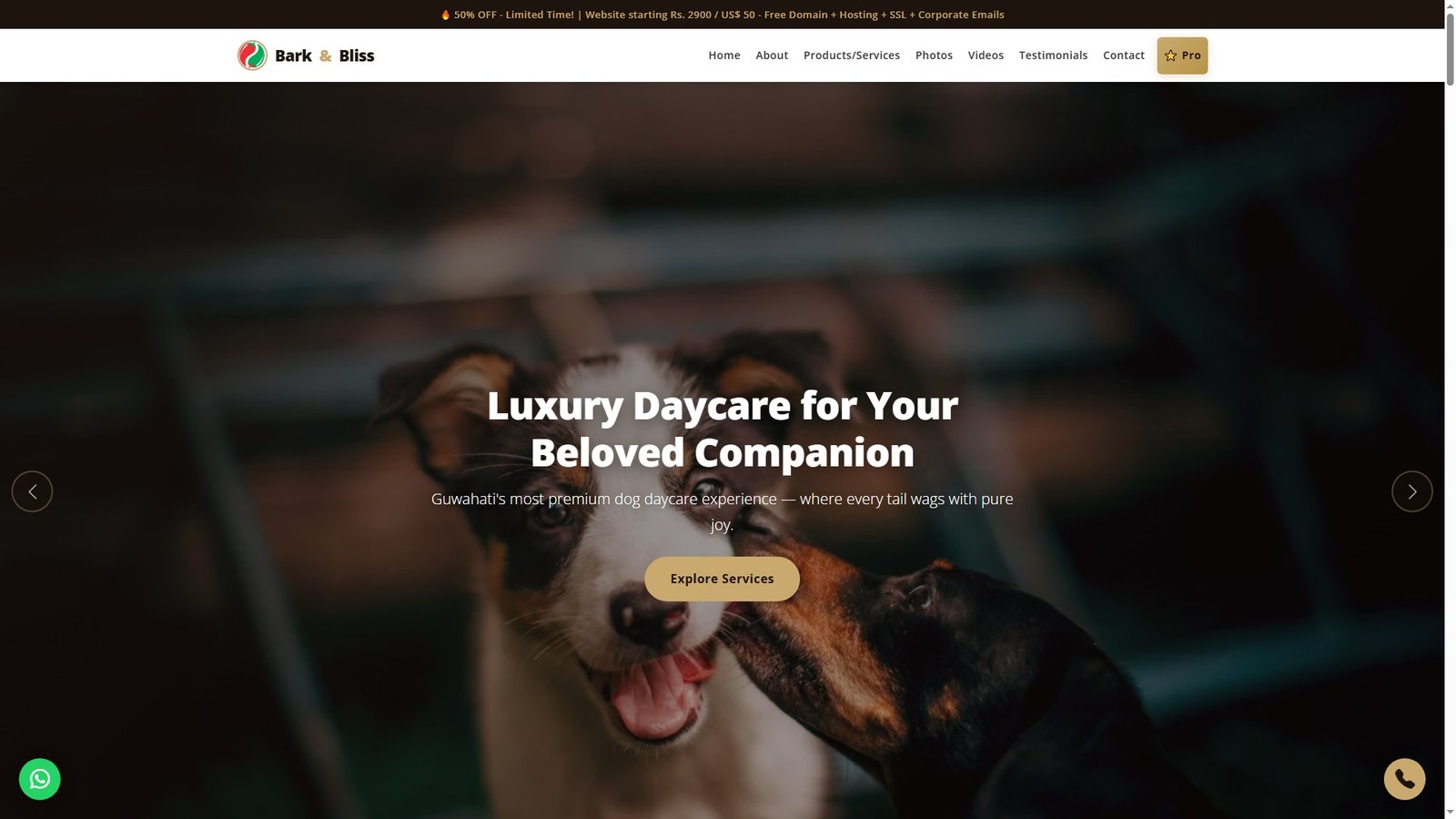 Dog Daycare Centers