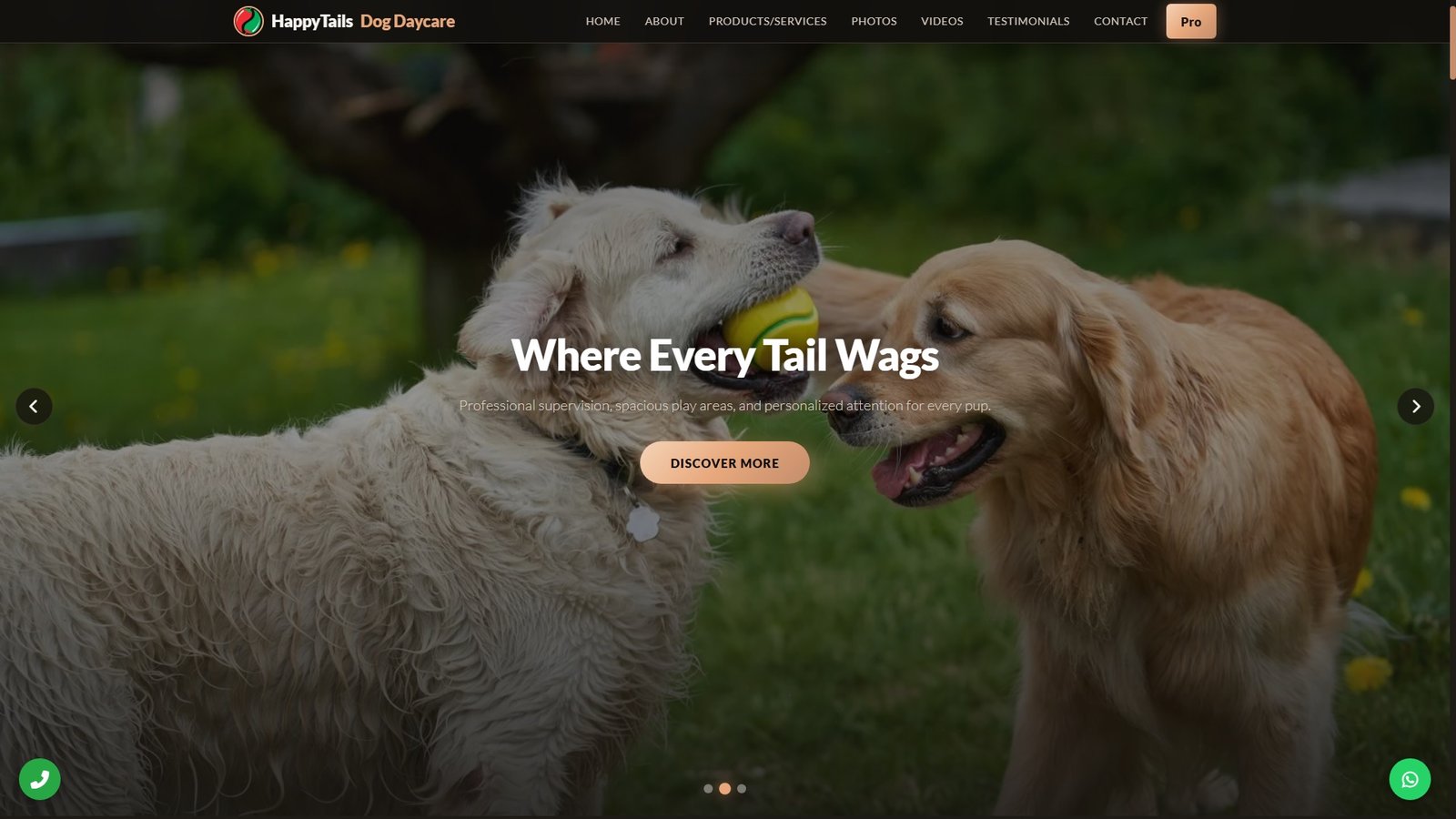 Dog Daycare Centers