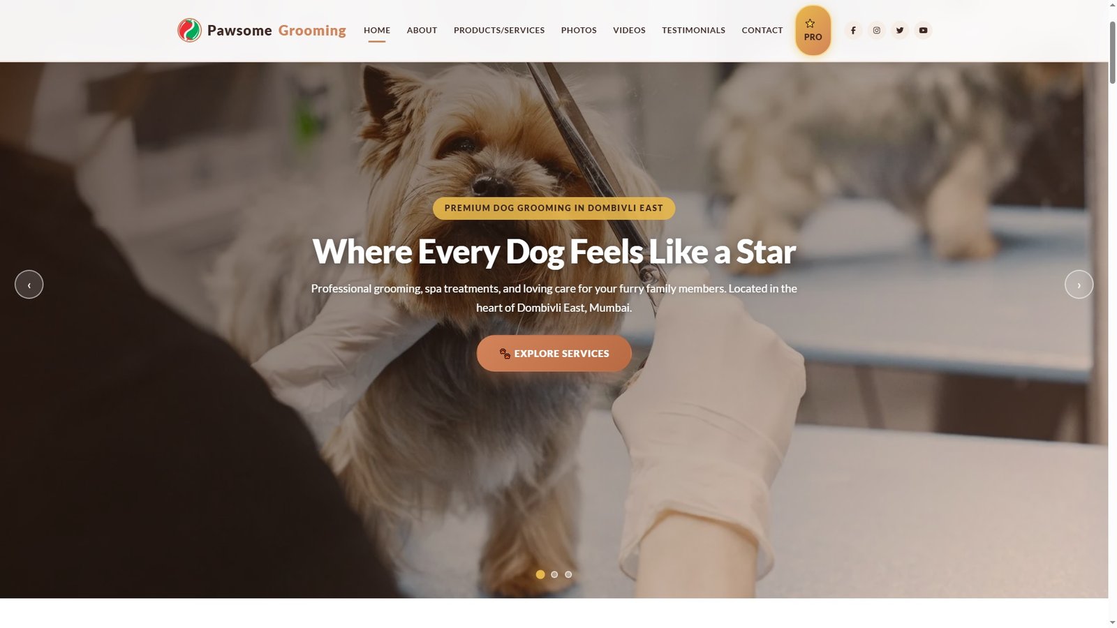 Dog Grooming Services