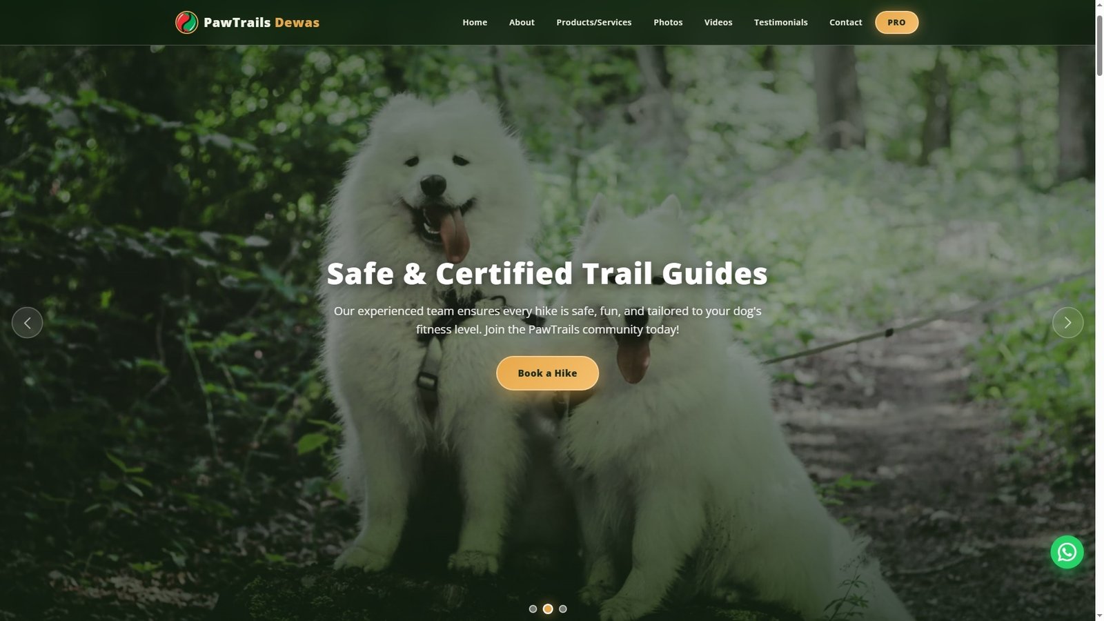 Dog Hiking Services