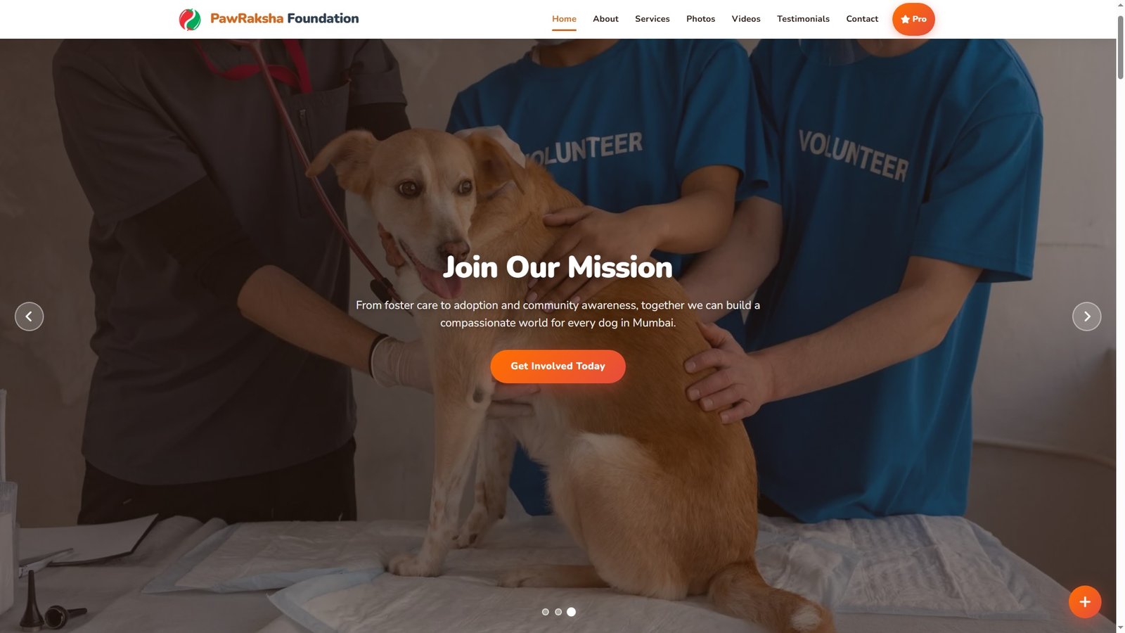 Dog Rescue Organizations