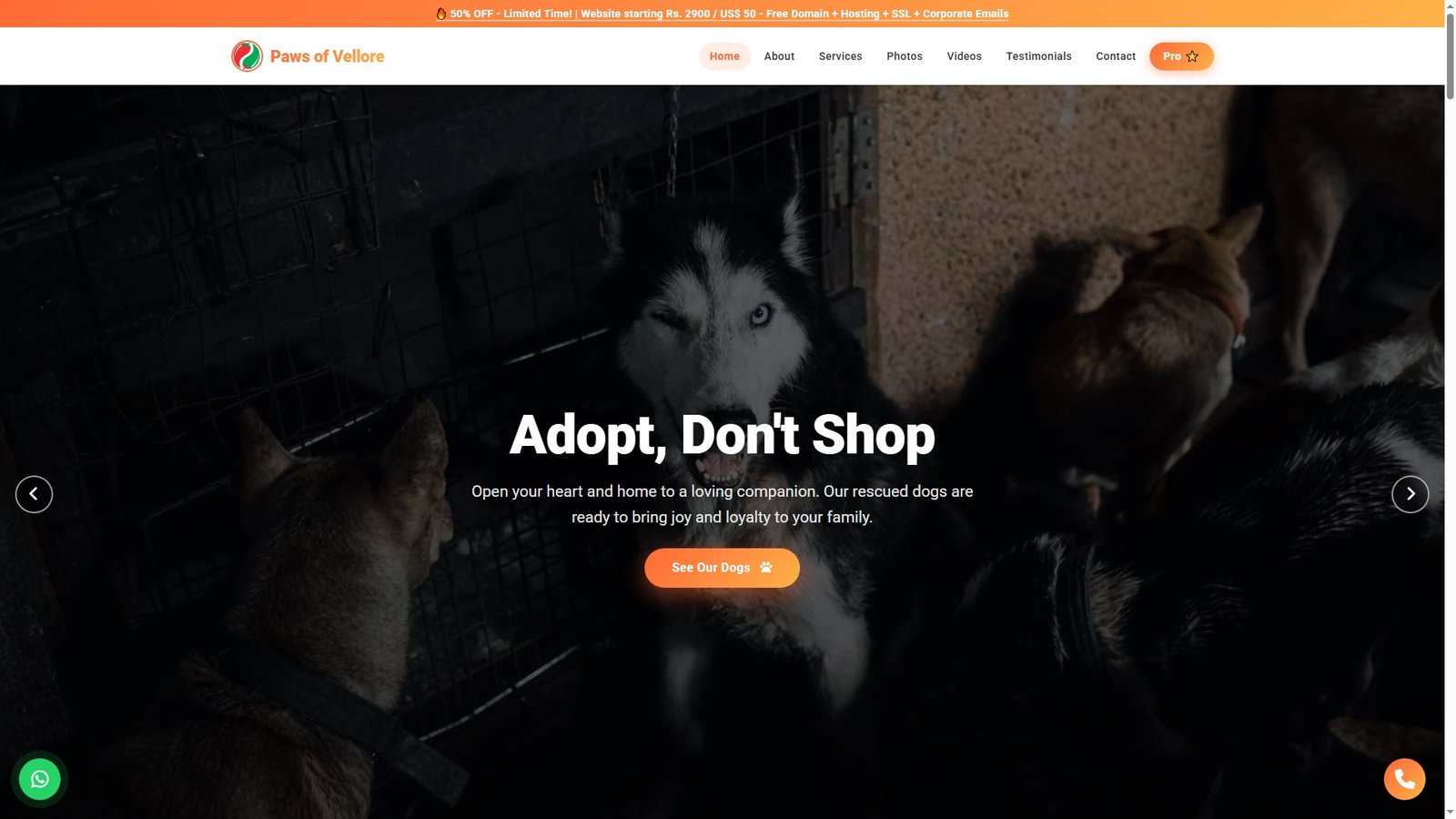Dog Rescue Organizations