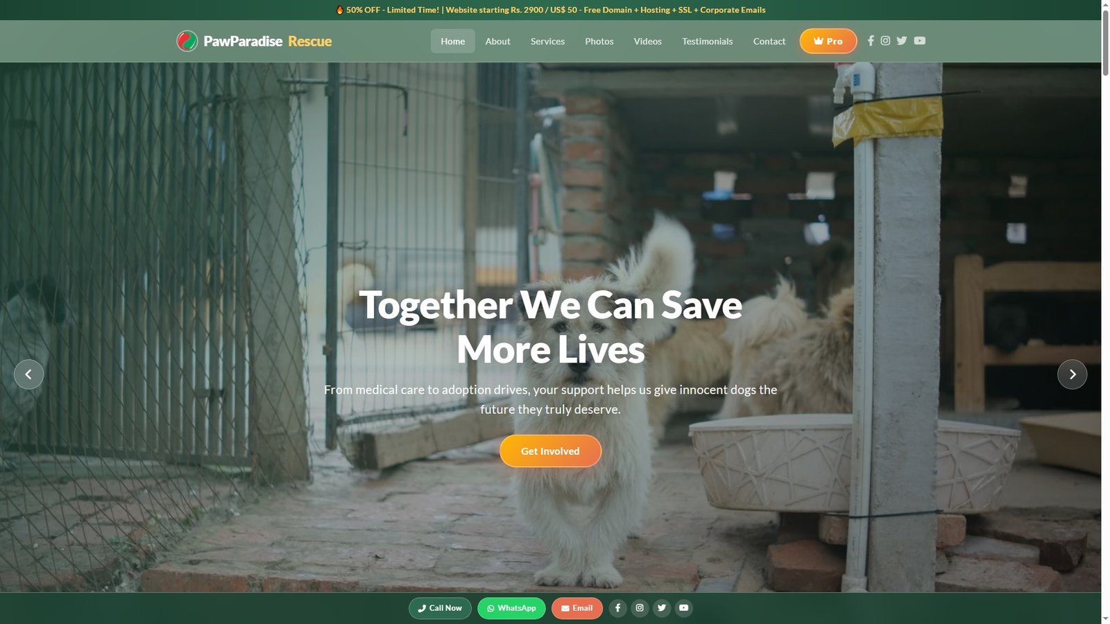Dog Rescue Organizations