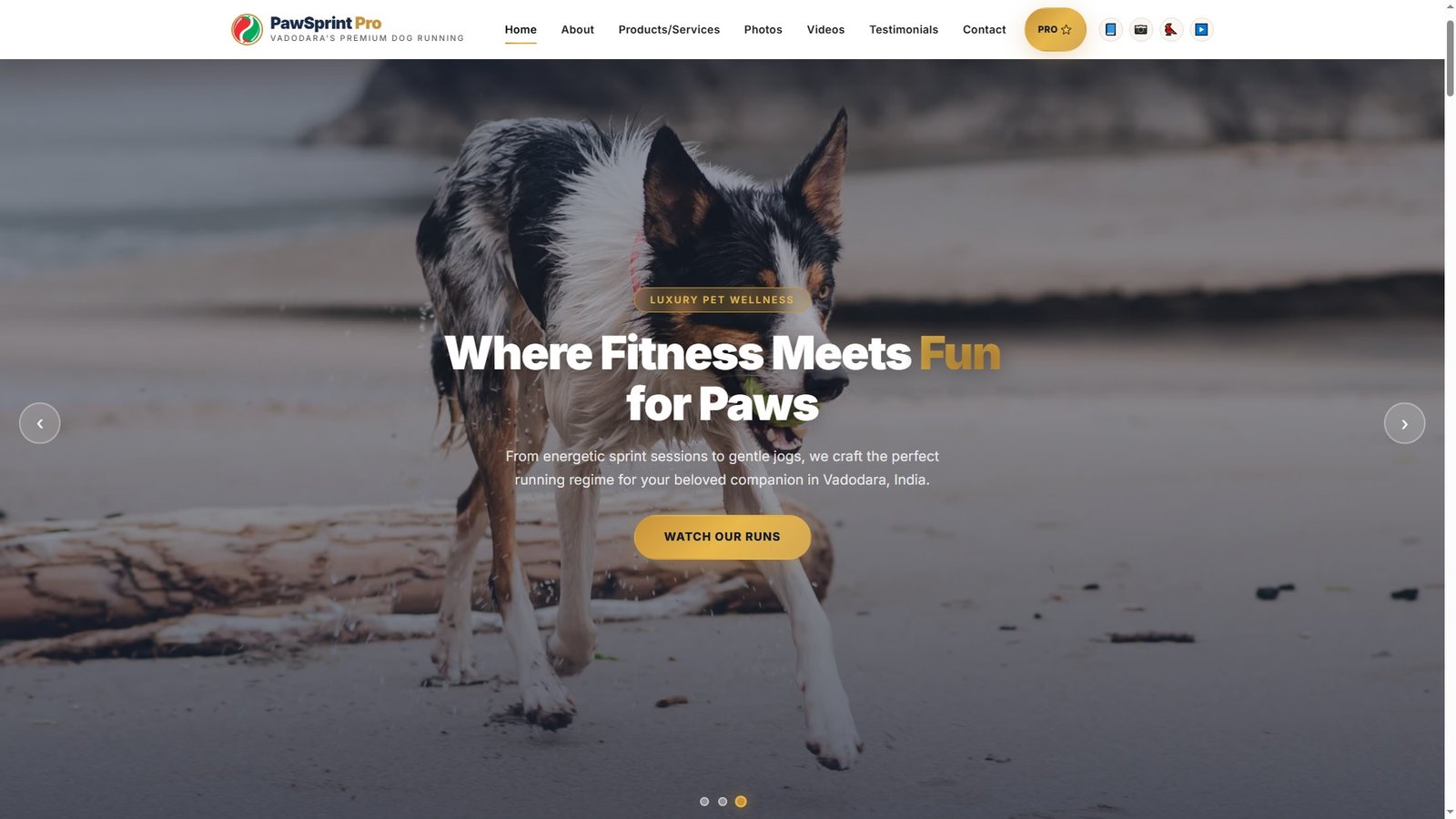 Dog Running Services