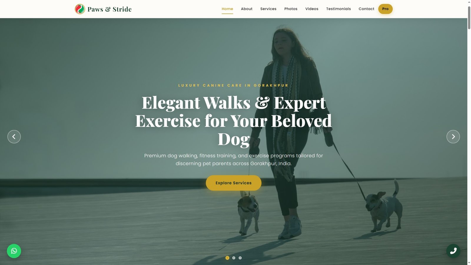 Dog Walking and Exercise