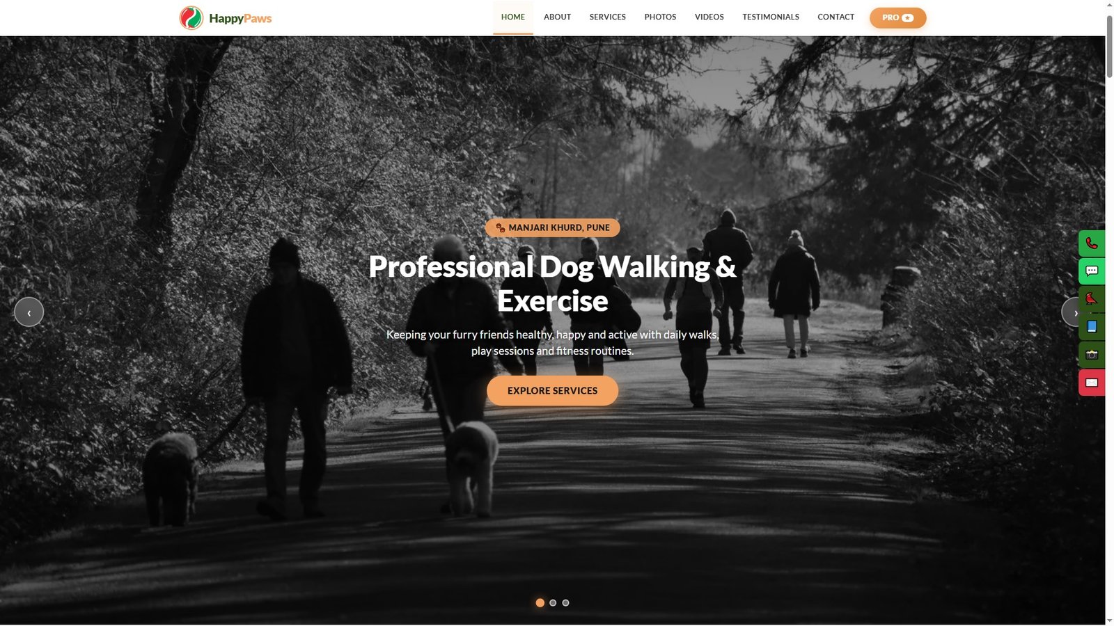Dog Walking and Exercise