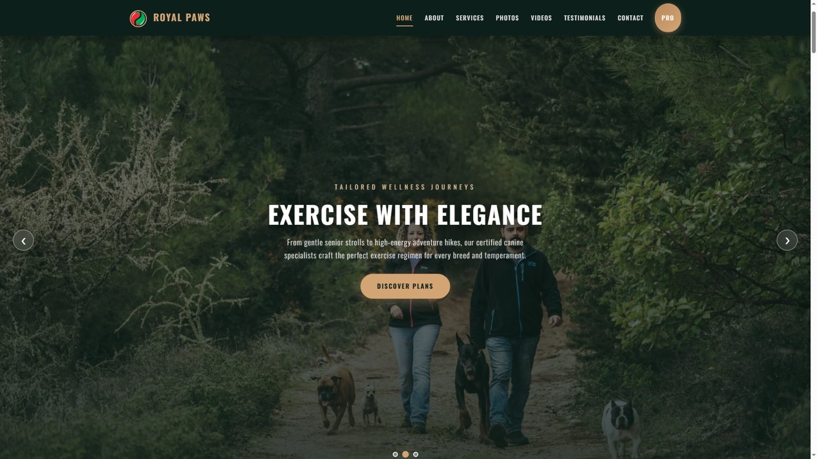 Dog Walking and Exercise