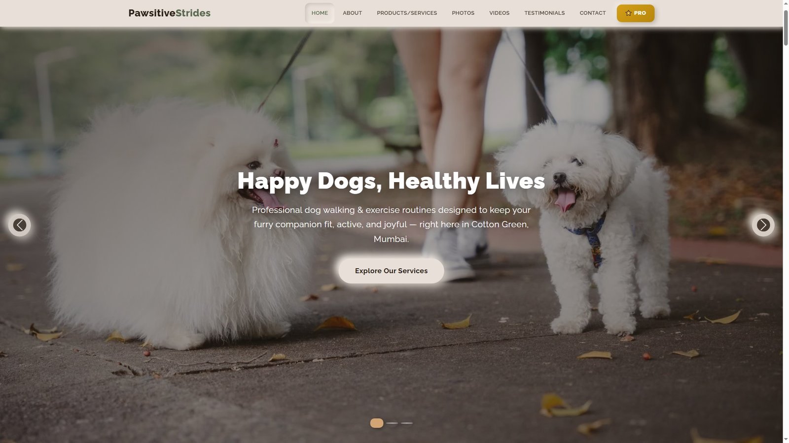 Dog Walking and Exercise