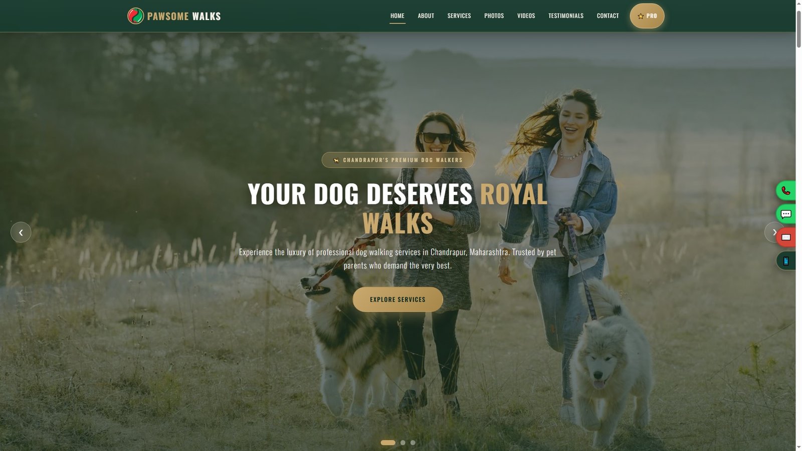 Dog Walking Services