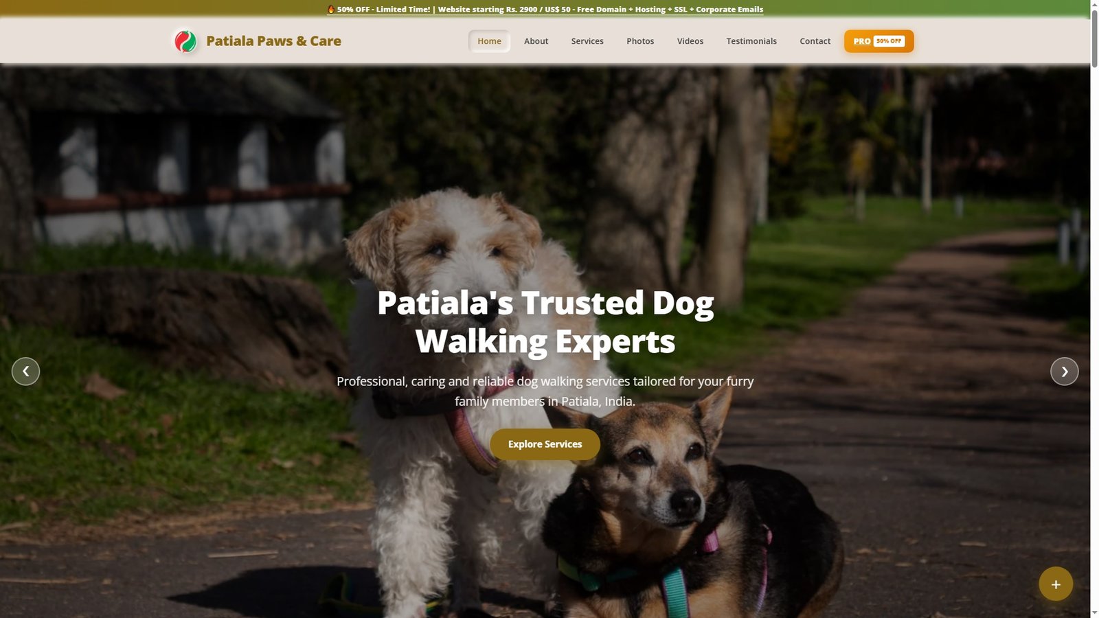 Dog Walking Services