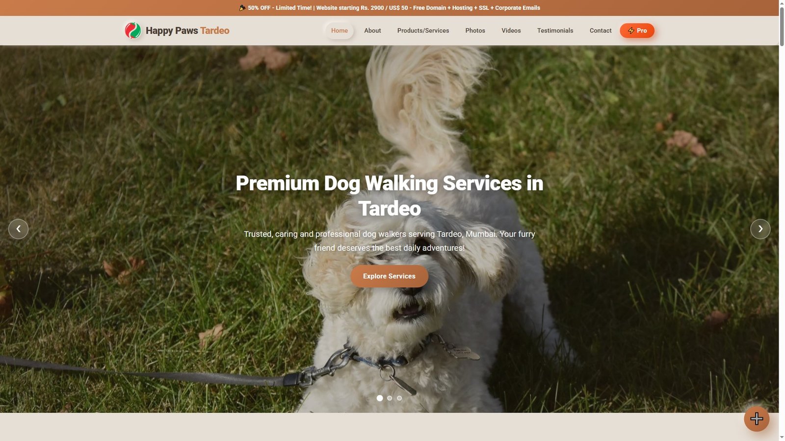 Dog Walking Services