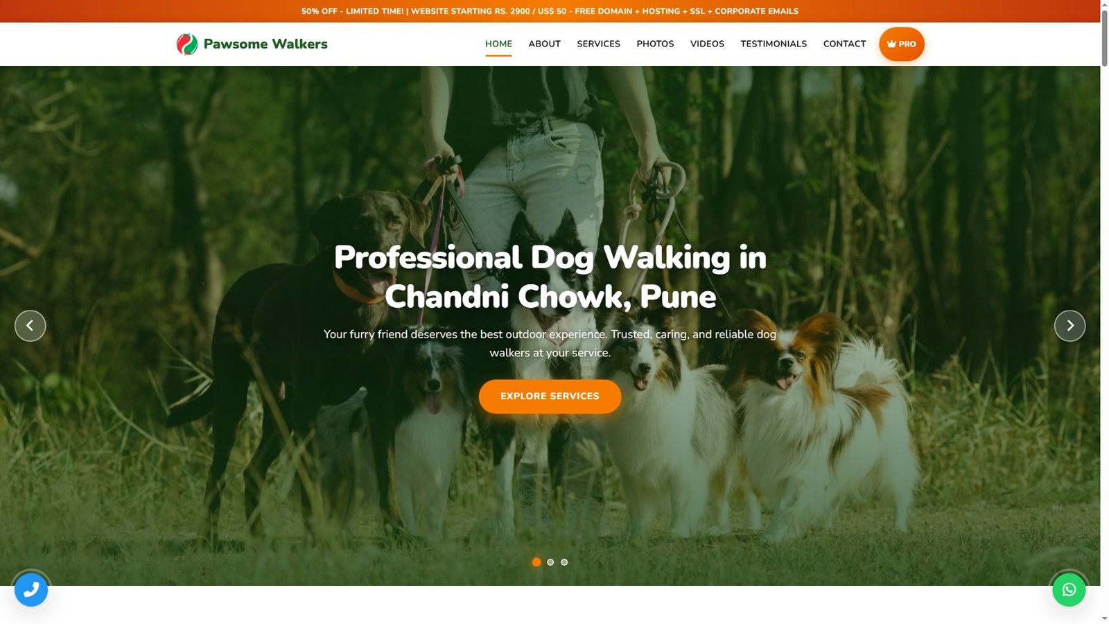 Dog Walking Services