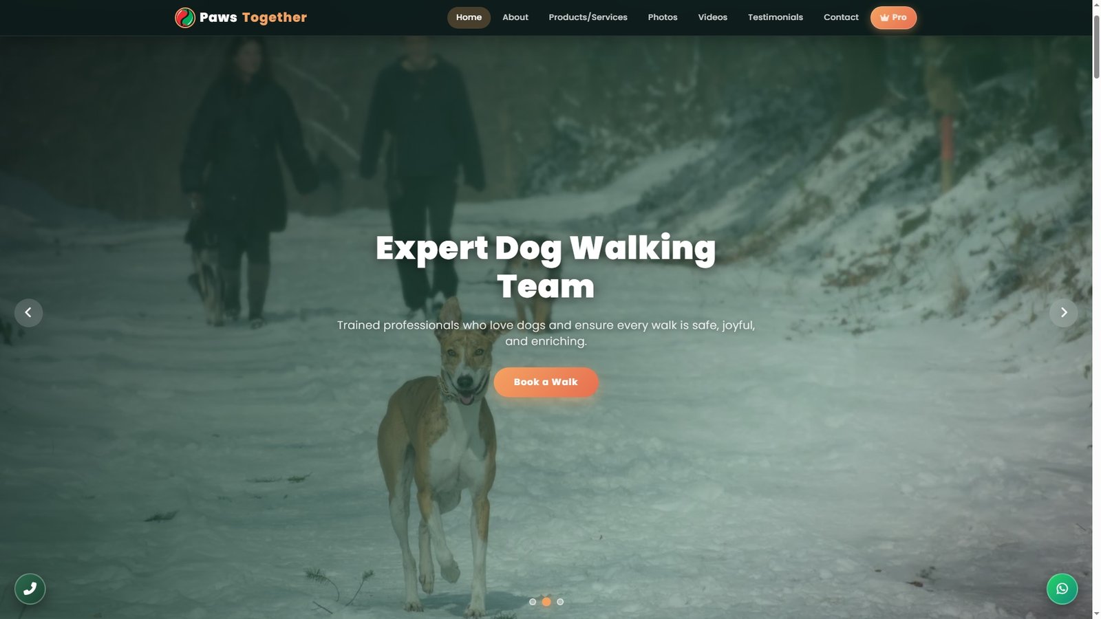 Group Dog Walking