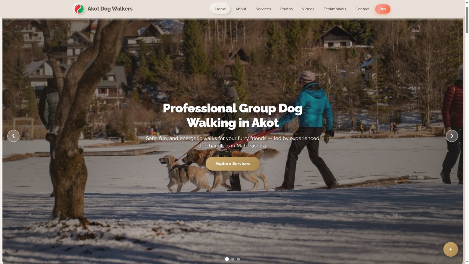 Group Dog Walking