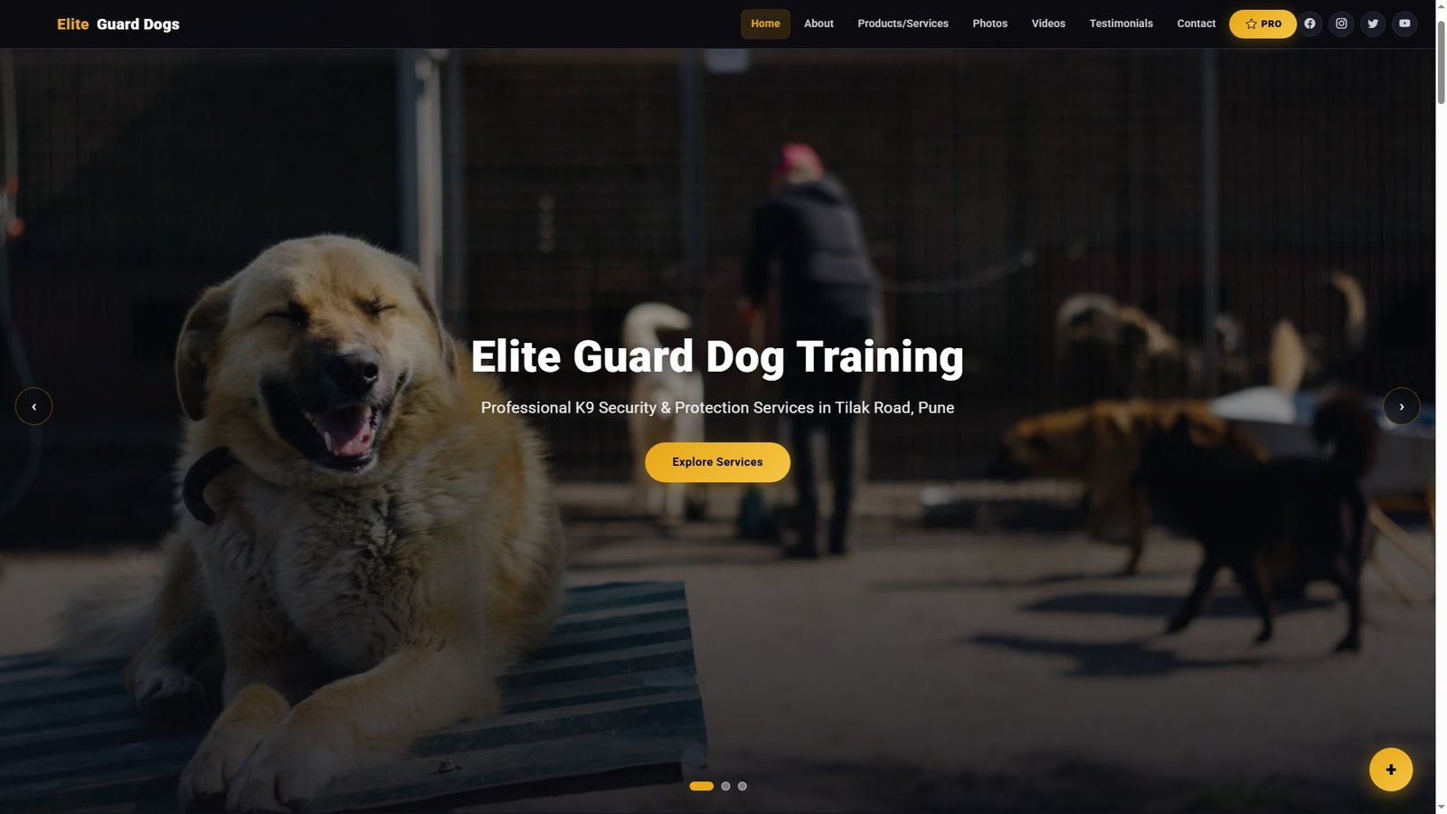Guard Dog Training