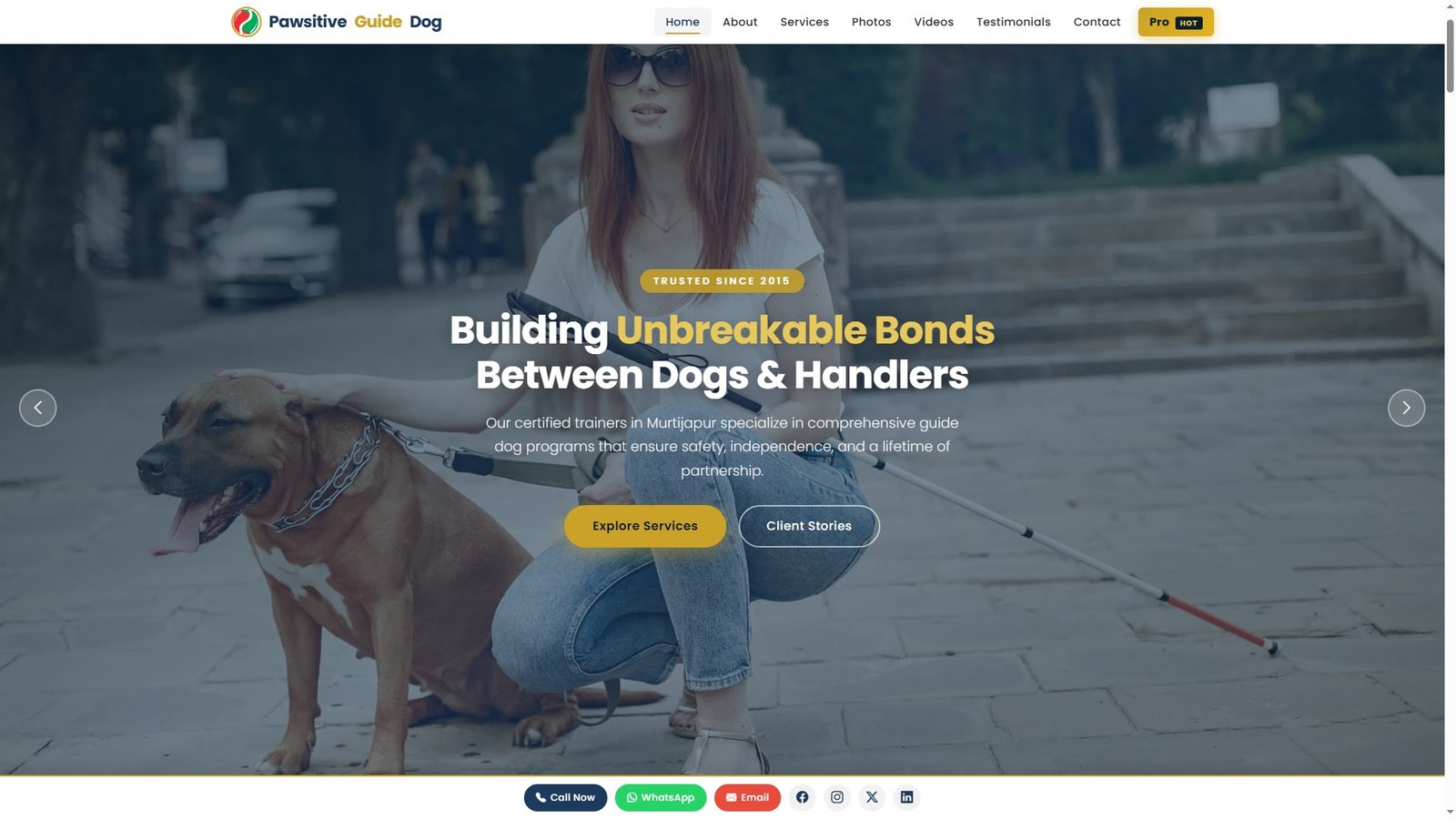 Guide Dog Training