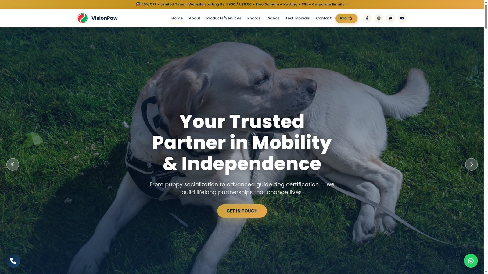 Guide Dog Training
