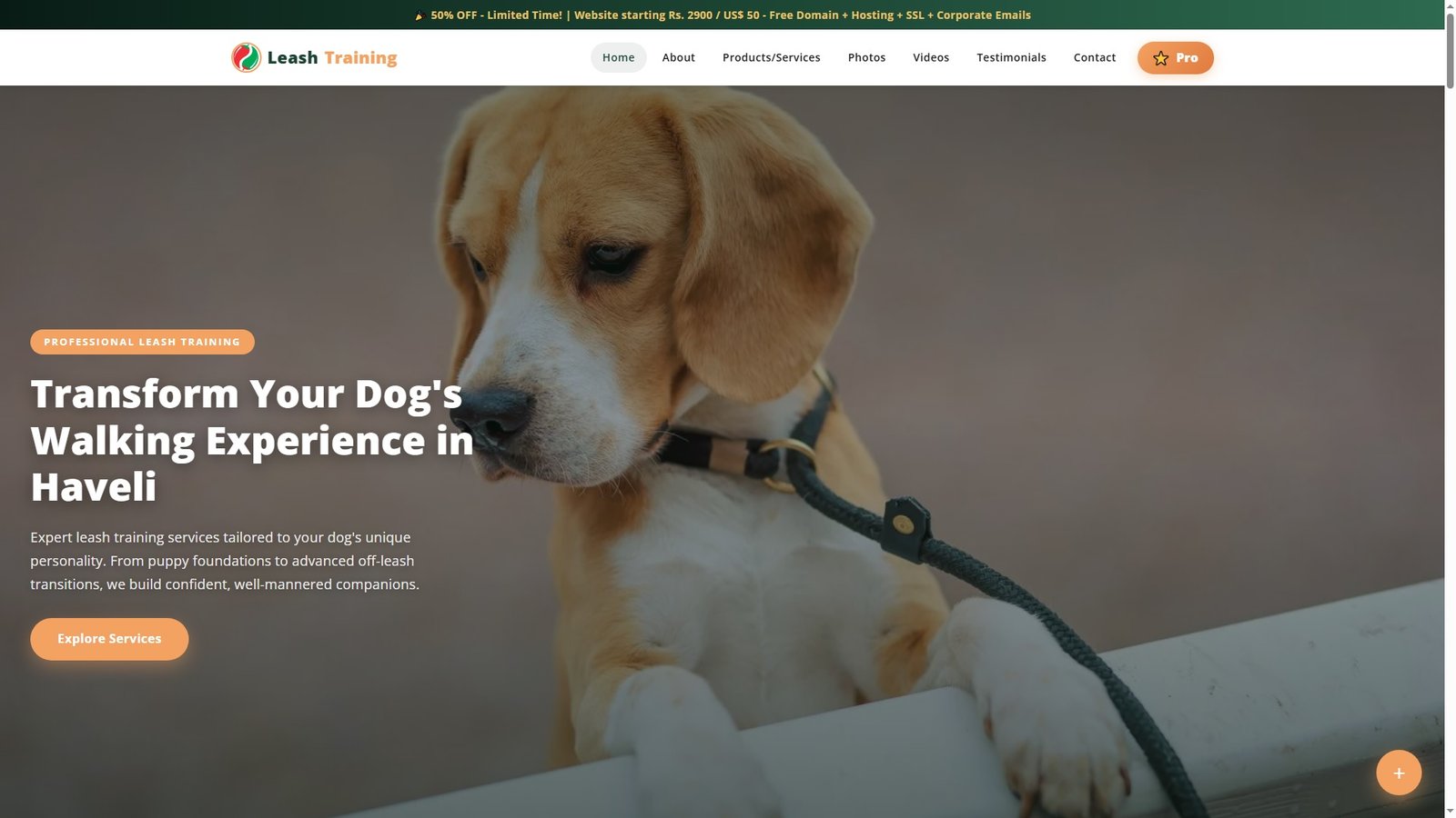Leash Training Services