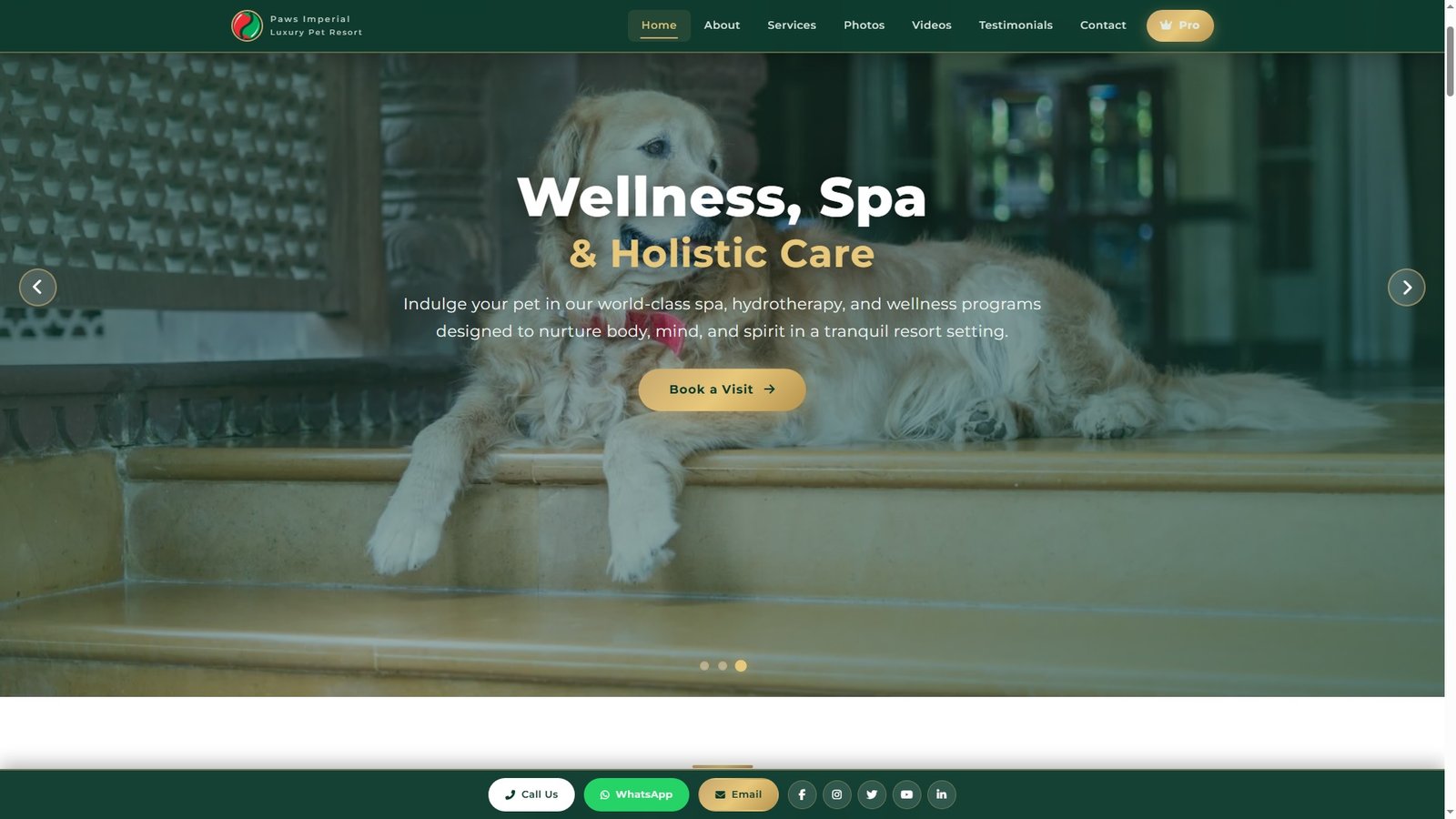 Luxury Pet Resorts