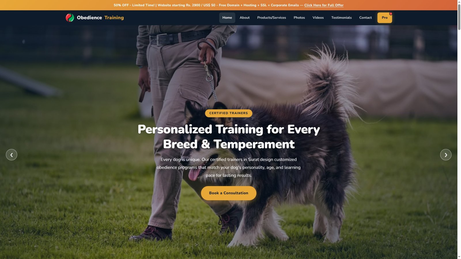 Obedience Training