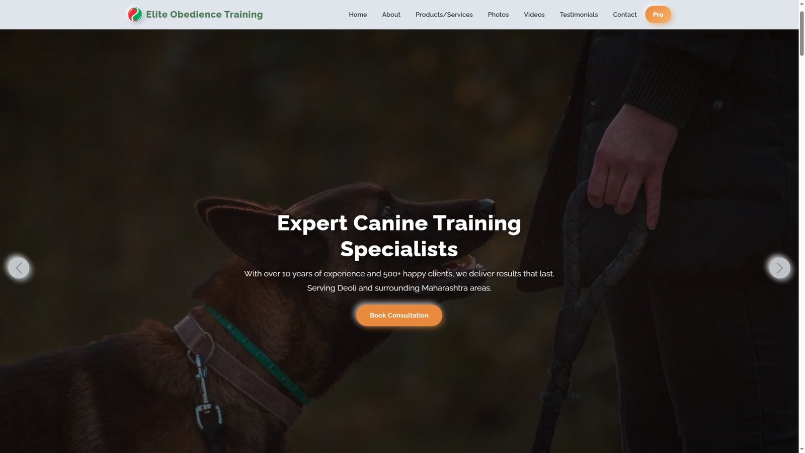 Obedience Training