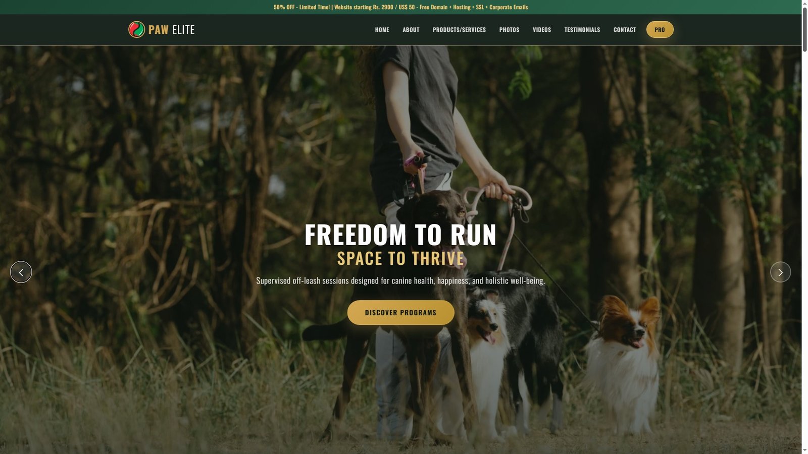 Off Leash Dog Exercise Programs