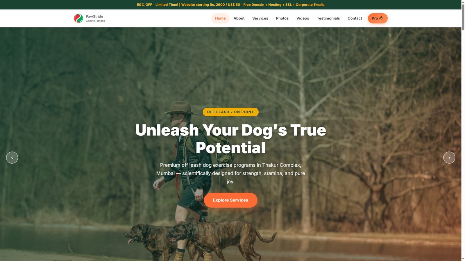 Off Leash Dog Exercise Programs