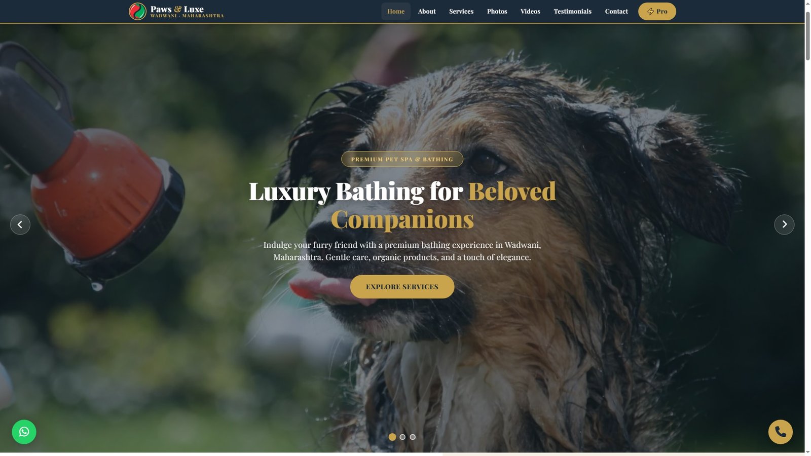 Pet Bathing Services