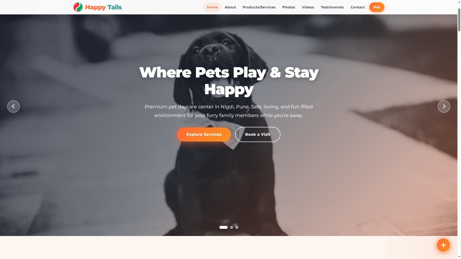 Pet Daycare Centers