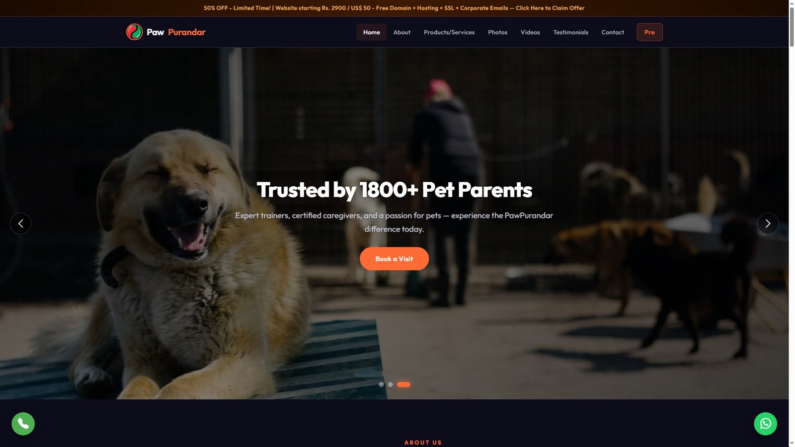 Pet Daycare Centers