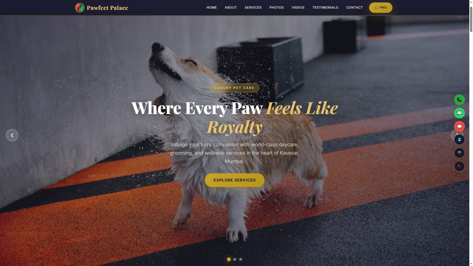 Pet Daycare Centers