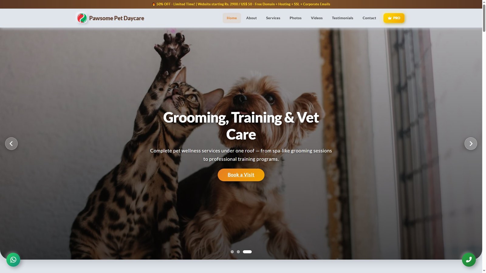 Pet Daycare Centers