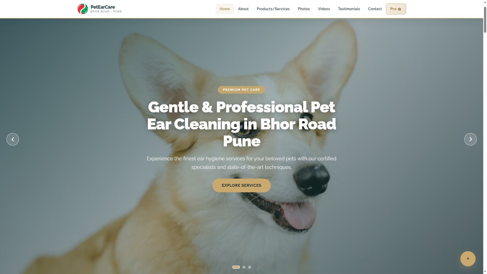 Pet Ear Cleaning Services