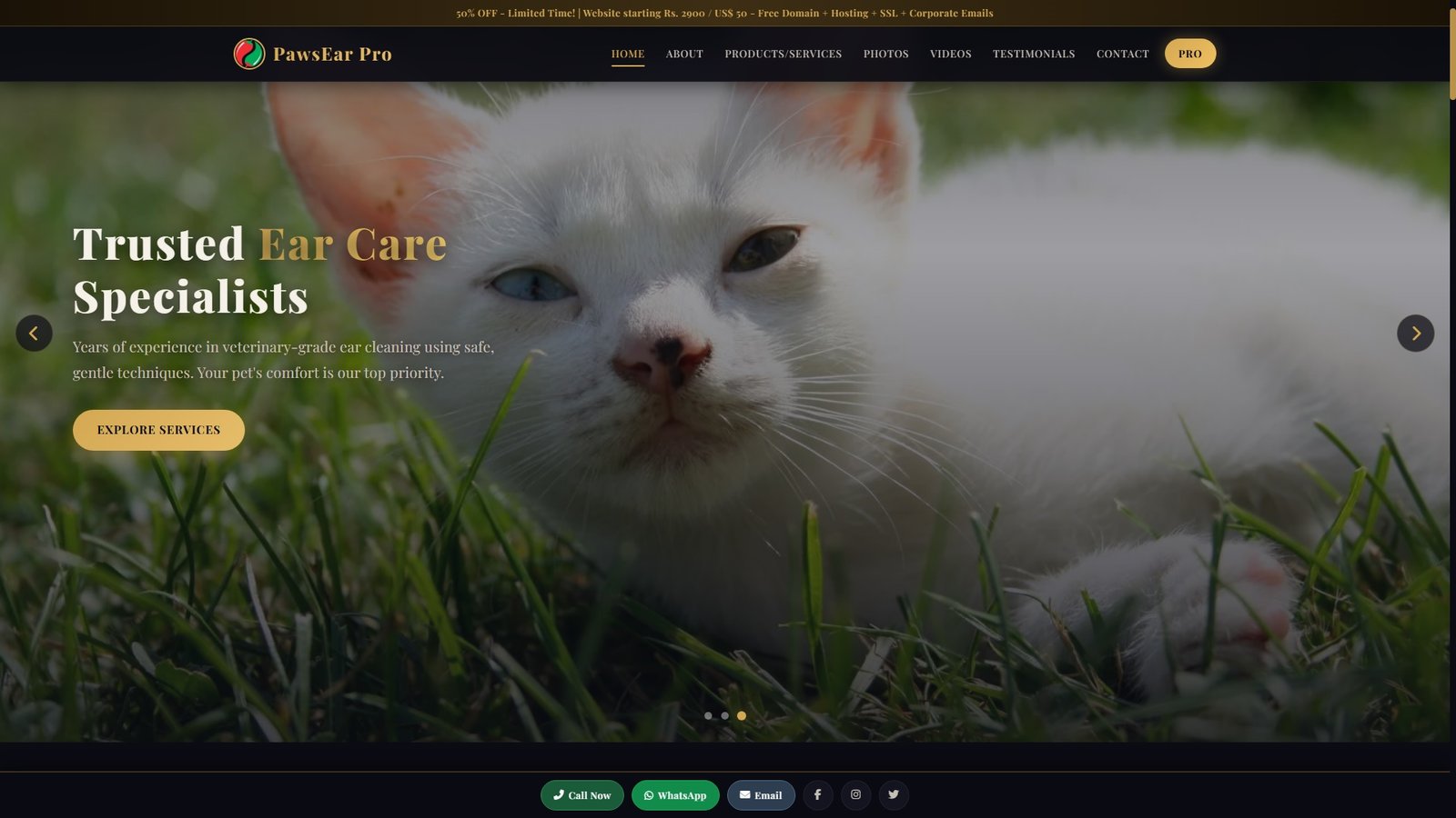Pet Ear Cleaning Services