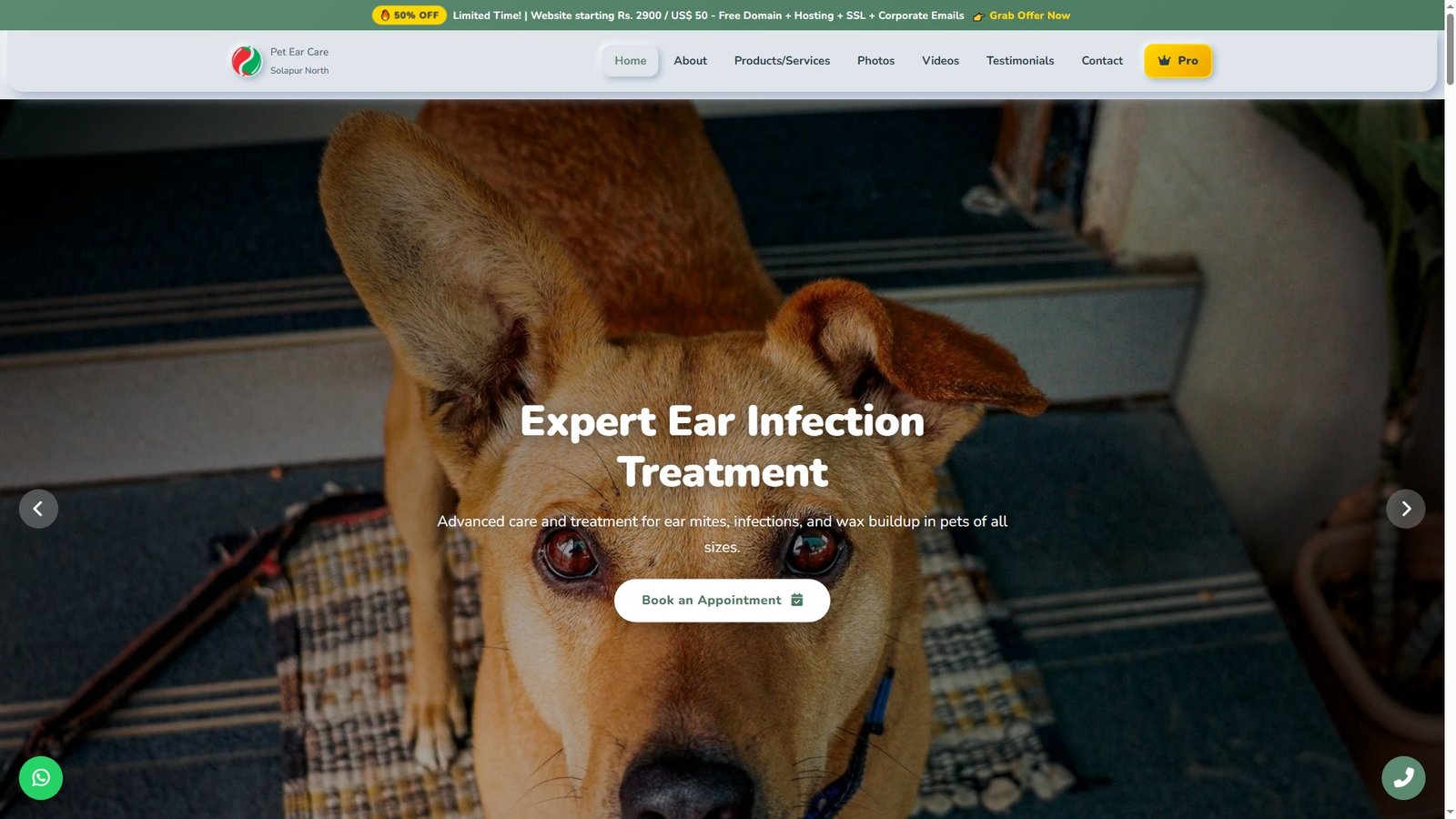 Pet Ear Cleaning Services