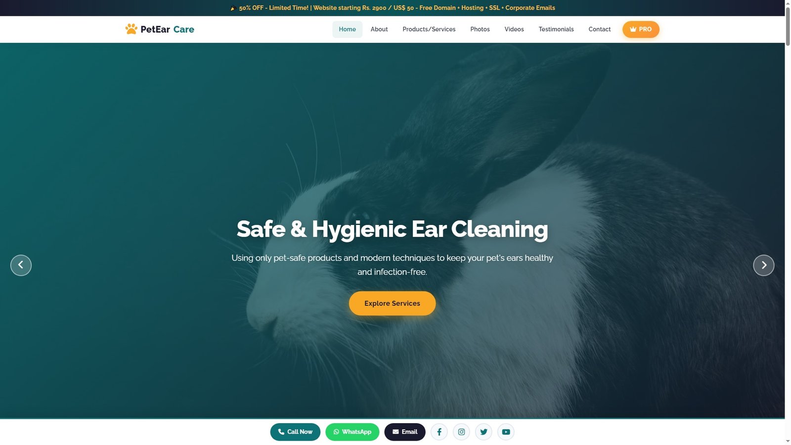 Pet Ear Cleaning Services