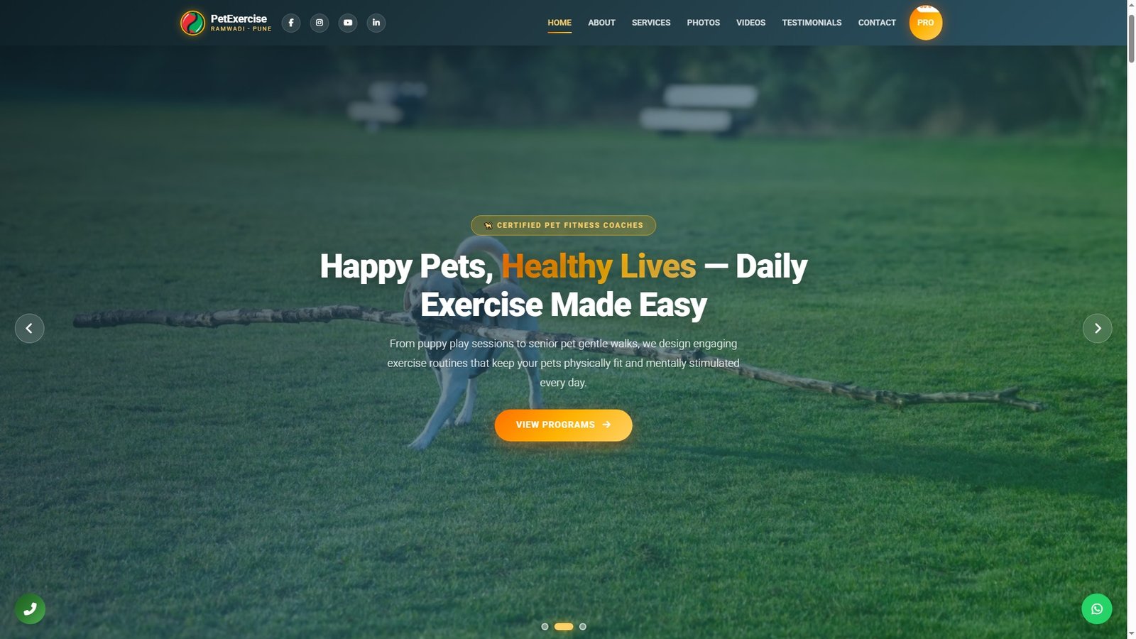 Pet Exercise Services