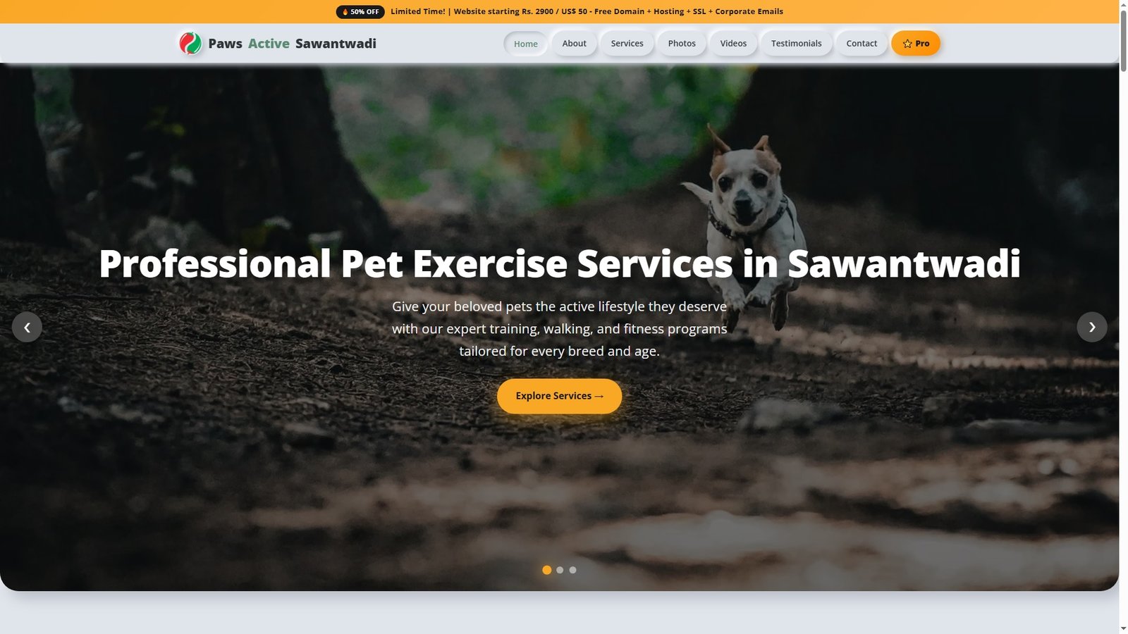 Pet Exercise Services