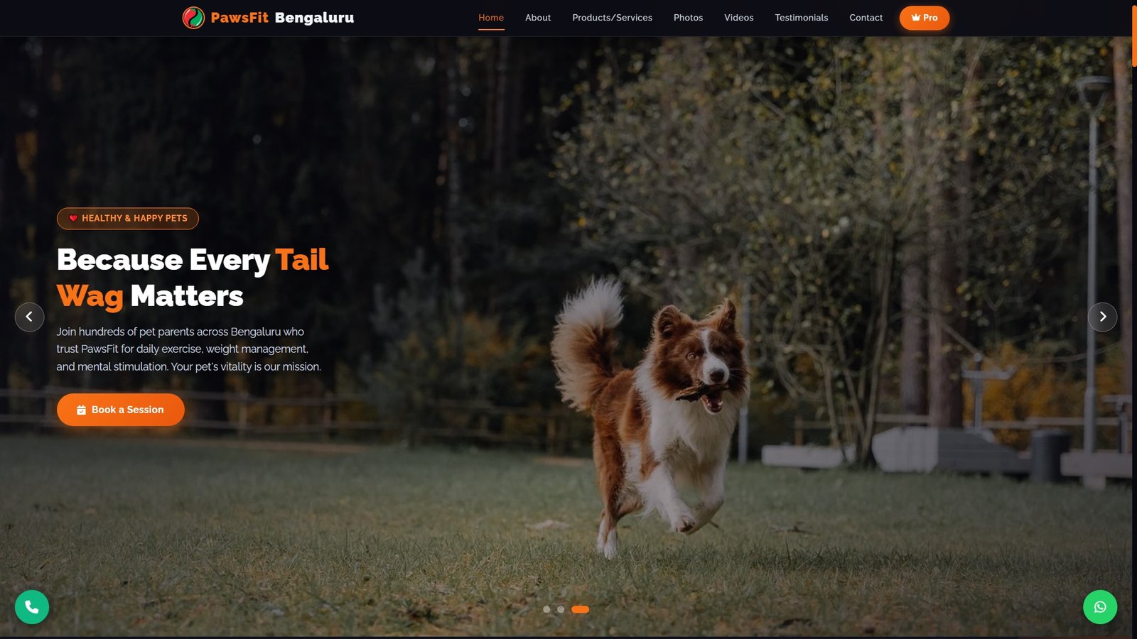 Pet Exercise Services