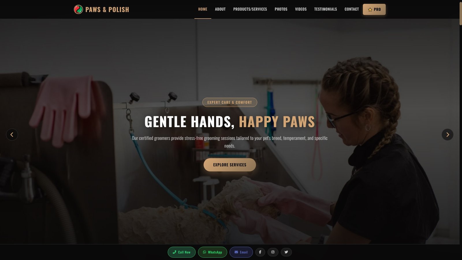 Pet Grooming and Hygiene