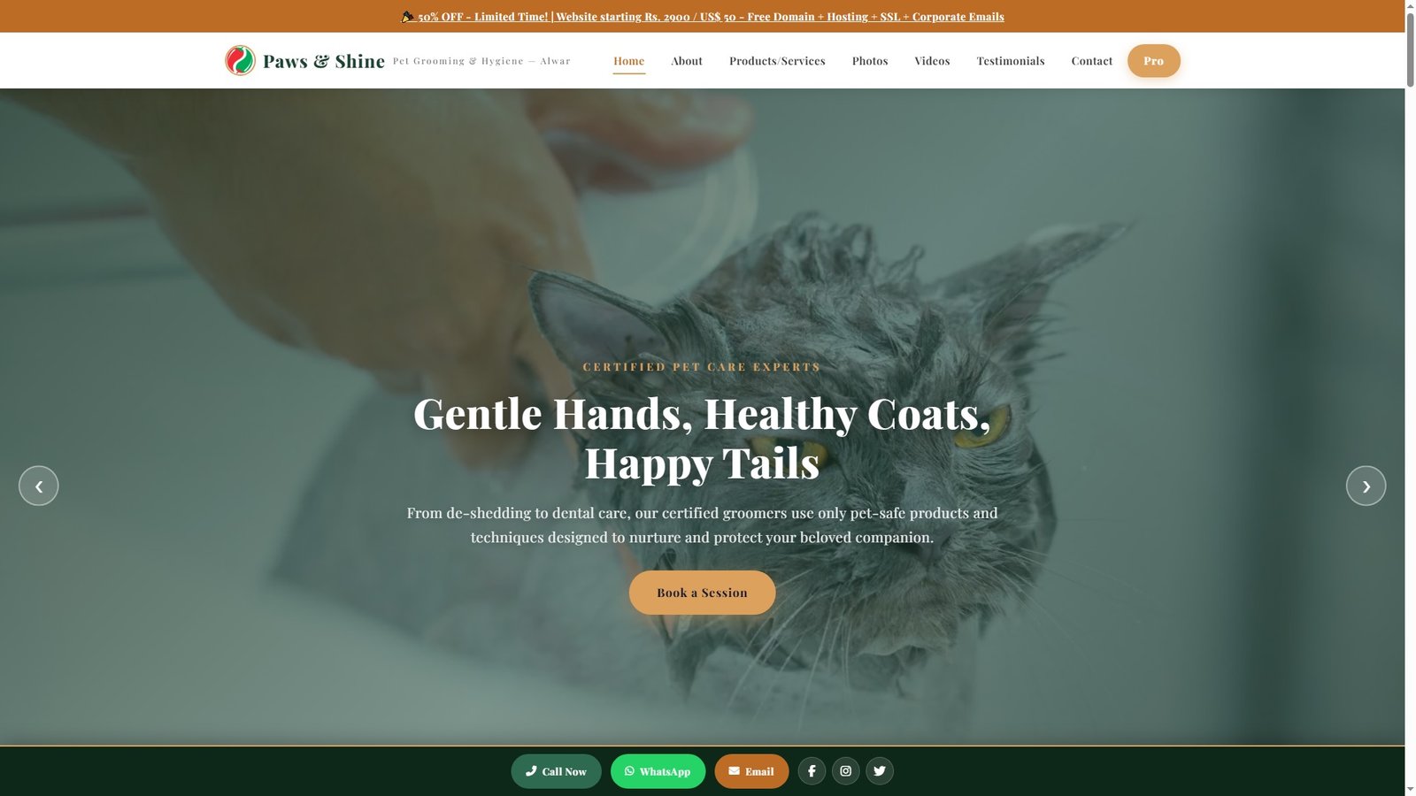 Pet Grooming and Hygiene
