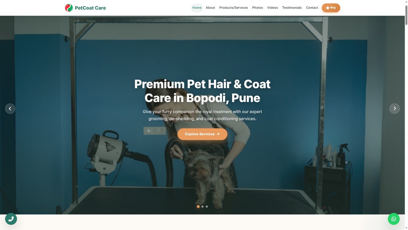 Pet Hair and Coat Care