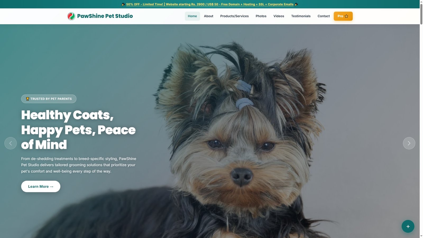 Pet Hair and Coat Care