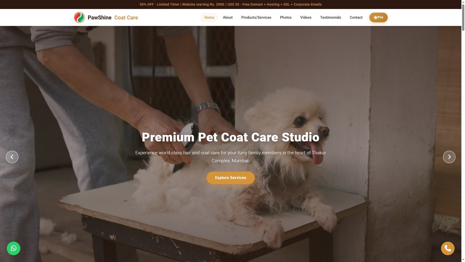 Pet Hair and Coat Care