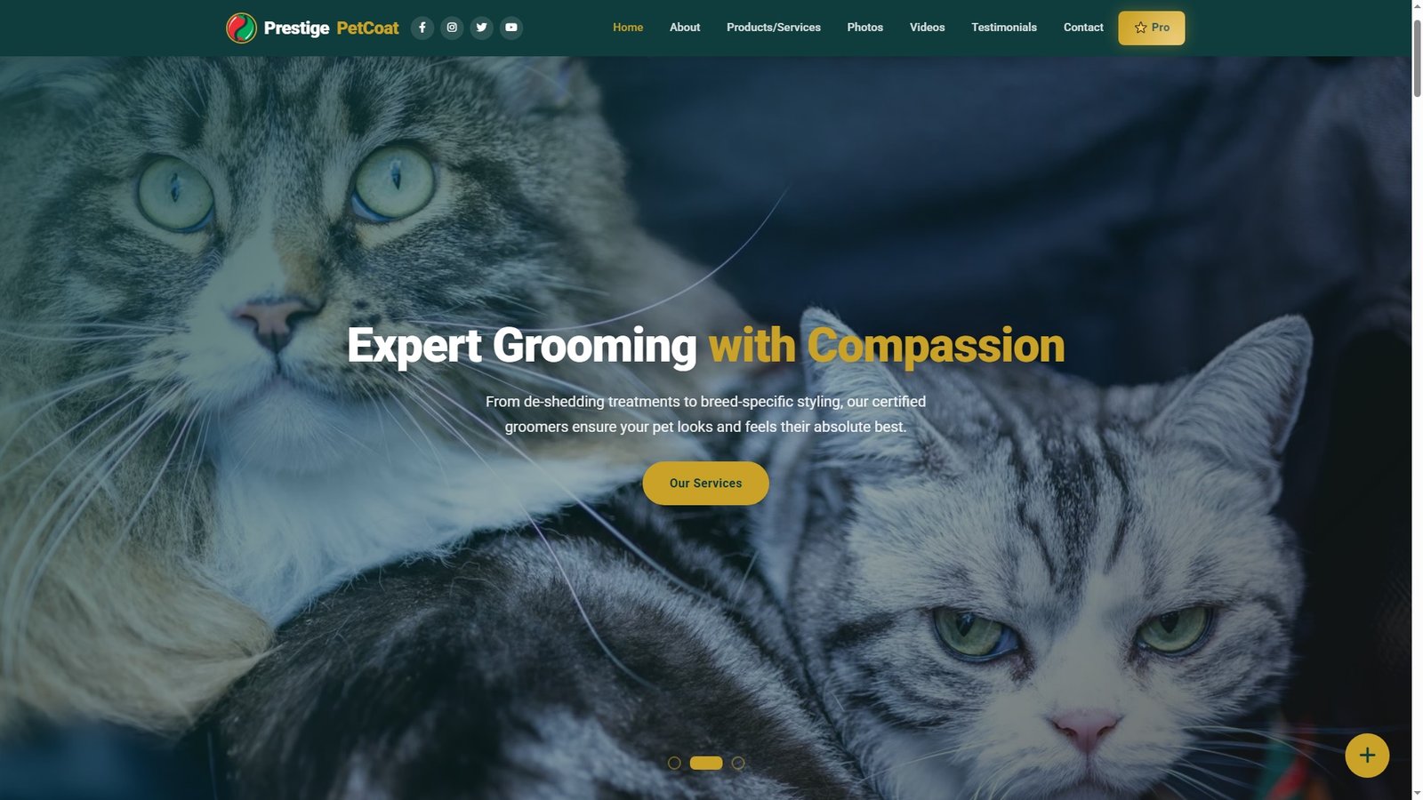 Pet Hair and Coat Care