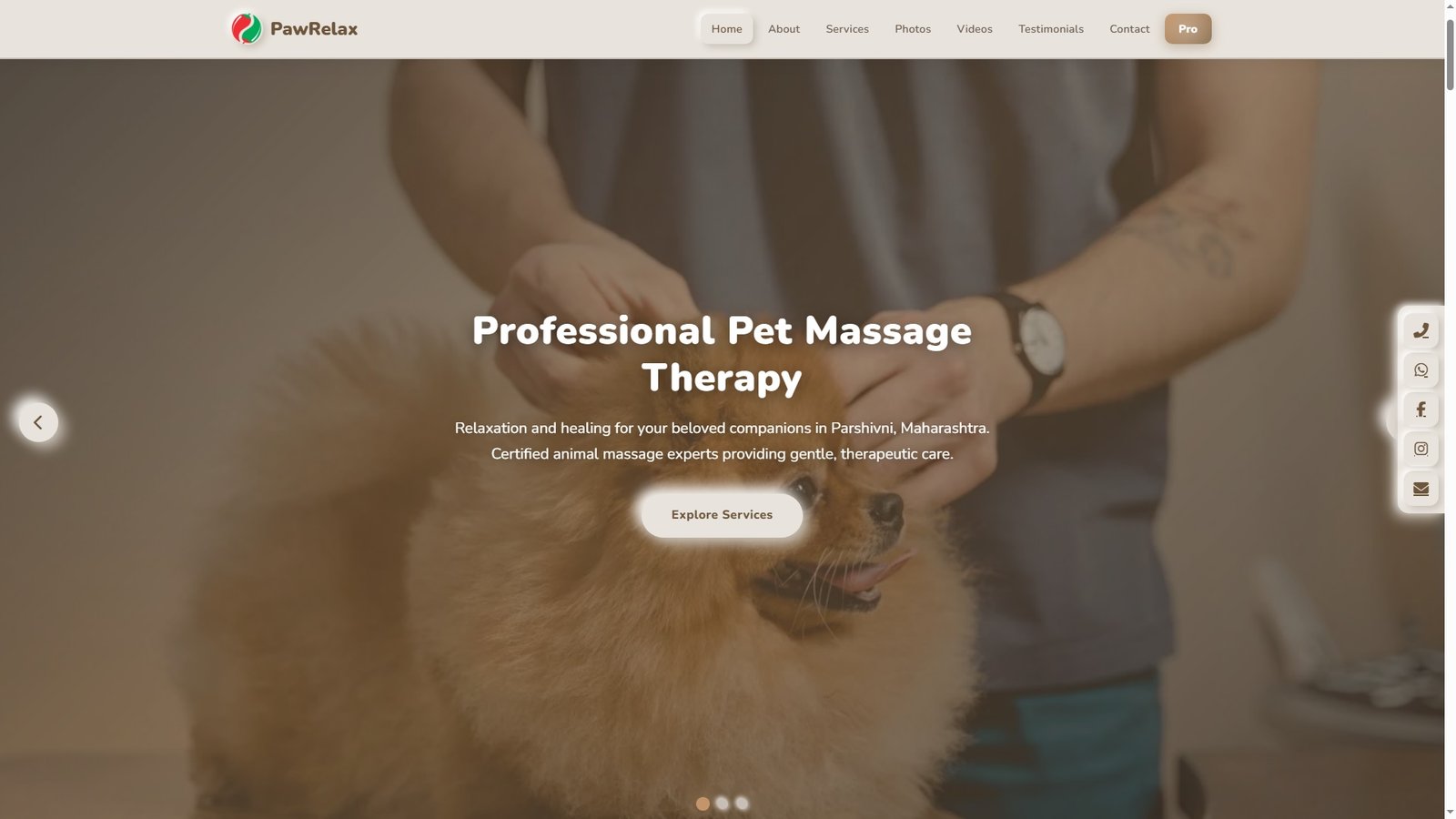 Pet Massage Services