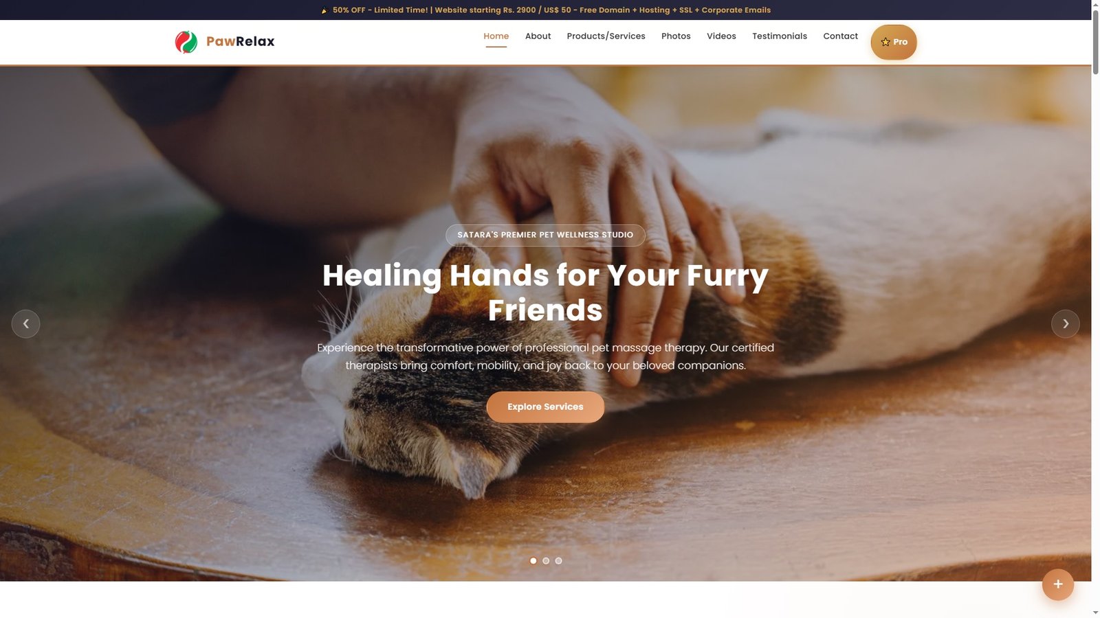 Pet Massage Services
