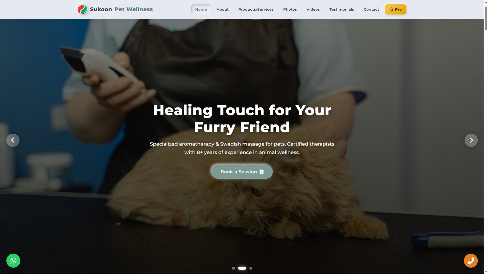Pet Massage Services